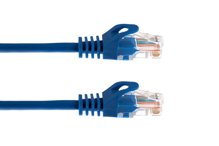 Blue Cat6 Ethernet patch cable