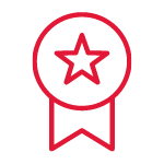 Network Advantage Icon, showing network connectivity and technology benefits